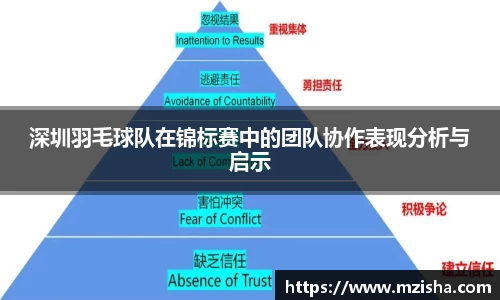 深圳羽毛球队在锦标赛中的团队协作表现分析与启示