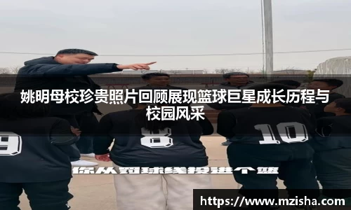 米兰体育官网