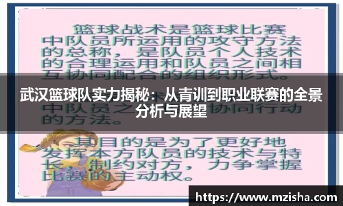 米兰体育