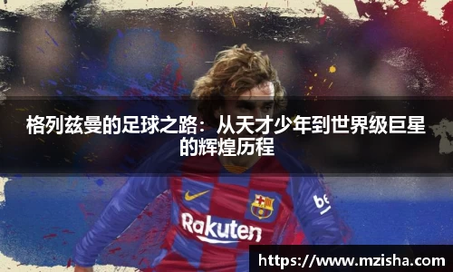 米兰体育官网