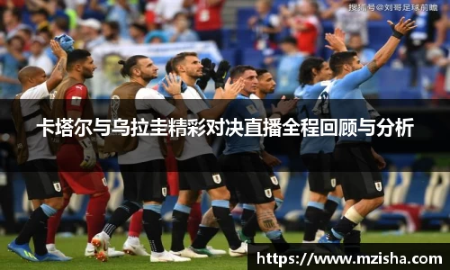 米兰体育官网